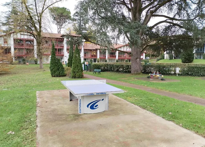 2- Grand Parc Arbore A St Jean Pays Basque Lejlighed