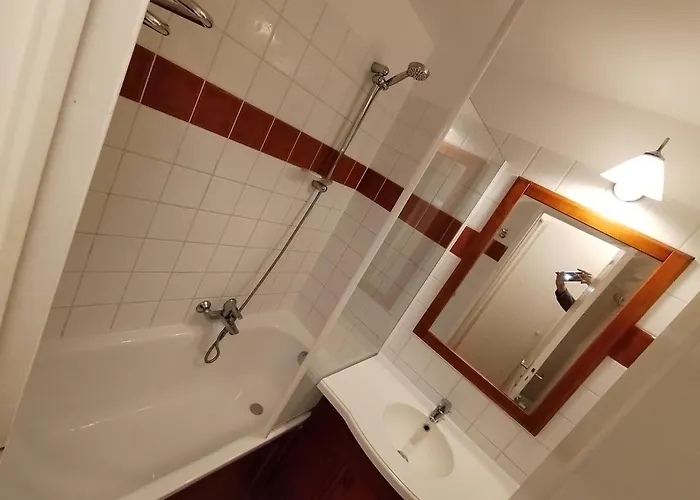 2- Grand Parc Arbore A St Jean Pays Basque *